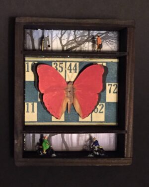 Butterfly collectors